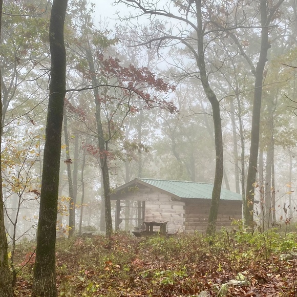 Chad Chancellor - Poshmark Profile Picture of Chad Chancellor (@chahay) on Poshmark