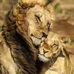 Profile Picture of Ashely Becks Ndebele (@ashelybecks) on Facebook