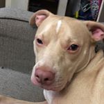 Profile Picture of Mike Thomsen (@mike_240z) on Instagram