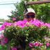 Profile Picture of Joseph Grubesic (@joseph.grubesic.7) on Facebook