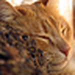 Profile Picture of Andrew McCrary (@Drew is the Werd) on Flickr