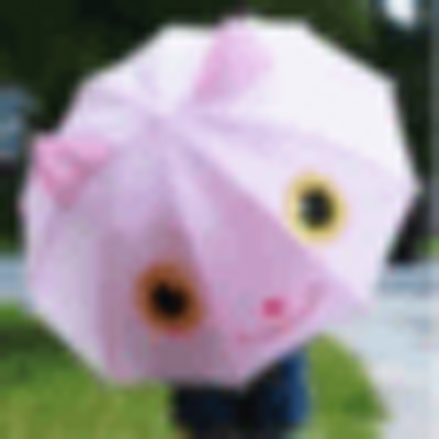 Profile Picture of Nancy Bender (@NancyBender4) on Twitter