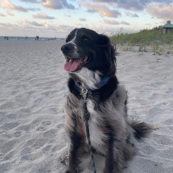 Profile Picture of Corey Hopkins (@chop311) on Poshmark