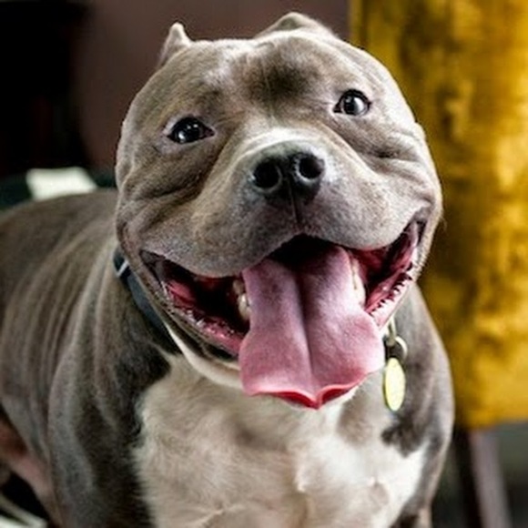 Profile Picture of Krisanthya Z (@krisanthya) on Poshmark