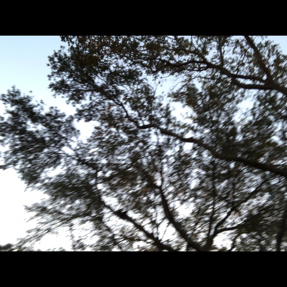 Cesar Peralta - Poshmark Profile Picture of Cesar Peralta (@cesarinpere58) on Poshmark