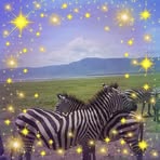 Profile Picture of Leah Paul (@leah.paul.3367174) on Facebook