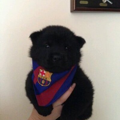 Profile Picture of Yessi Saez Silva (@Yess1james) on Twitter