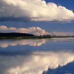 Profile Picture of KarlVaughn (@karlvaughnt) on Instagram