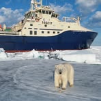 Profile Picture of Darren Eddy (@darren.eddy.923) on Facebook