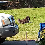 Profile Picture of Joseph McKinney (@JosephMcKinney-s7o) on Youtube