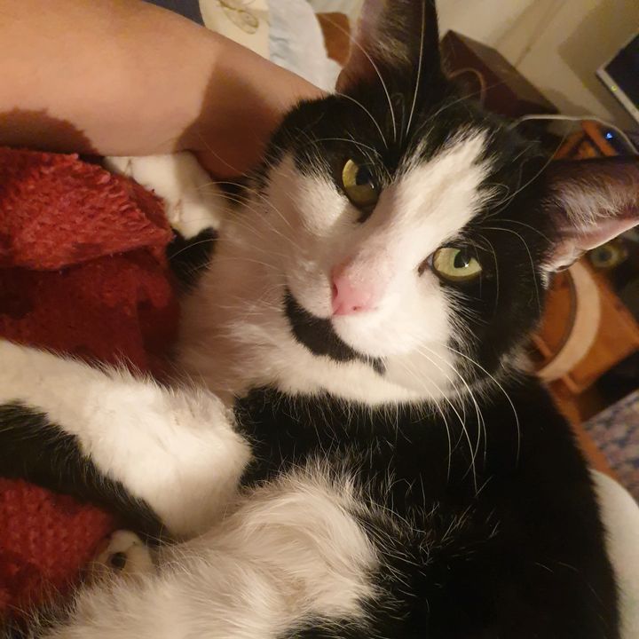 Profile Picture of Sami Scott (@samiscott18) on Tiktok