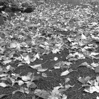 Rocio Constanza. - Quora Profile Picture of Rocio Constanza. (@rocio-constanza-1) on Quora