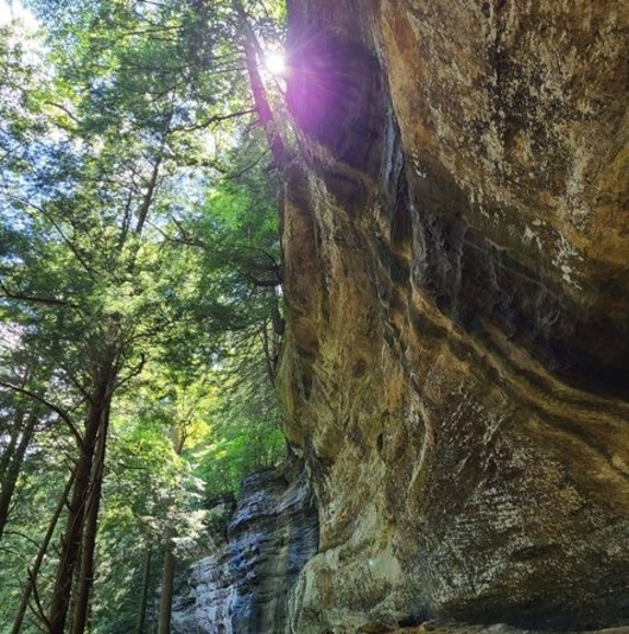 Profile Picture of Dawn Barber (@dwn_barber) on Poshmark