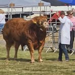 Profile Picture of Glen Innes (@Glen-Innes) on Facebook