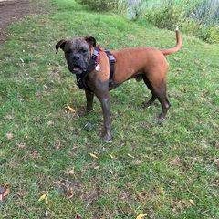 Profile Picture of marktadman767 (@marktadman767) on Tiktok