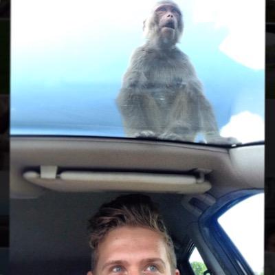 Profile Picture of David Brogden (@D_Brogden) on Twitter