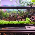 Profile Picture of Christopher Shatswell (@Christopher-Shatswell) on Facebook