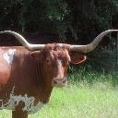 Profile Picture of A. Keith Rowell (@AKeithRowell) on Twitter