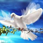 Rigoberto Ulloa - Instagram Profile Picture of Rigoberto Ulloa (@ulloa.rigoberto) on Instagram