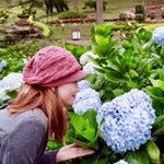 Profile Picture of My Dung Phan (@mydung.phan) on Instagram