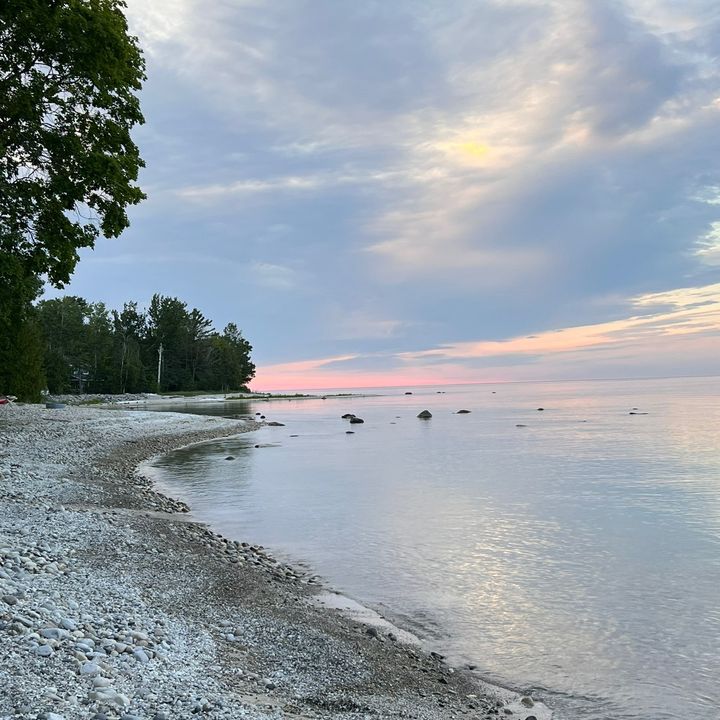 bradleypattok - Tiktok Profile Picture of bradleypattok (@bradleyuf) on Tiktok