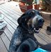 Profile Picture of Gregg Meyer (@gregg.meyer.14855) on Facebook