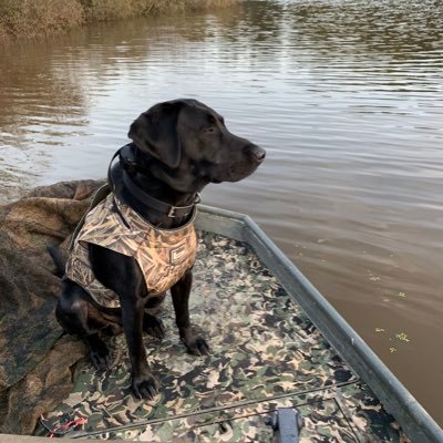 Profile Picture of Ben Cathey (@BenCathey8) on Twitter