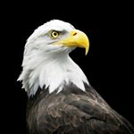 Profile Picture of Gavin Fontenot (@gavin_scott_fontenot) on Instagram