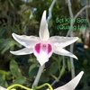 Profile Picture of Quang Le (@quangle831) on Tiktok