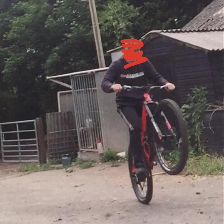 Profile Picture of Danny snow (@dannysnow04) on Tiktok