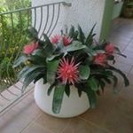 Profile Picture of Loretta Molin Pradel (@lorettamolinpradel) on Instagram