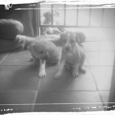 Profile Picture of Daniel Higuera (@danielhiguera01) on Twitter