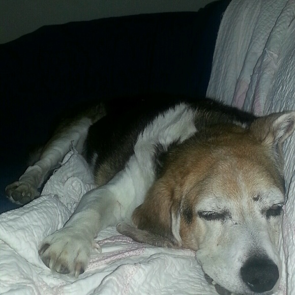 Profile Picture of Myrtle Slocum (@1951franmyrt) on Poshmark