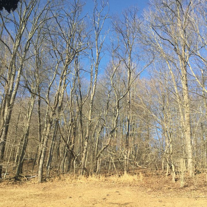 Profile Picture of Stacy Vaughan (@stacyvaughan) on Tiktok