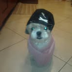 Profile Picture of Crystal Wittman (@crystal.wittman.7) on Facebook