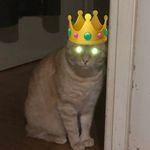 Cheese Curtis Cole - Instagram Profile Picture of Cheese Curtis Cole (@cheese_the_godking) on Instagram