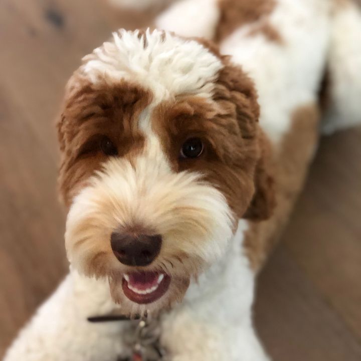 Profile Picture of Christian Club (@farrahcollins2010) on Tiktok