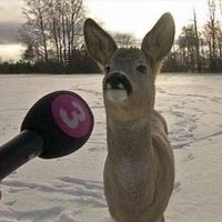 Profile Picture of Protector Of The Trees (@travis_tolman) on Twitter