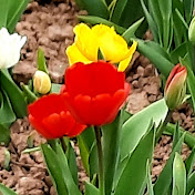 Profile Picture of  Albert Becht  (@AlbertoDe) on Youtube