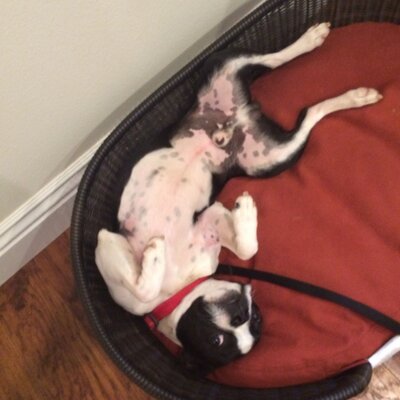 Profile Picture of Max Garrison (@CMaxwellG) on Twitter