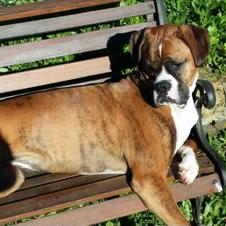 Profile Picture of Mario Platania (@mario_platania) on Twitter