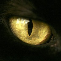Profile Picture of Kate Best (@kate-best-1) on Quora