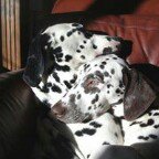 Ian Bowen - Instagram Profile Picture of Ian Bowen (@ian.bowen.10) on Instagram