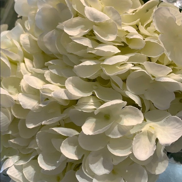 Profile Picture of Debbie Gothelf (@diamondgirl720) on Poshmark