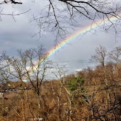 Profile Picture of Robert Turner (@robertturner7603) on Youtube