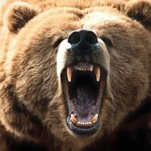 Profile Picture of Ronnell Fondren (@ronnellfondren) on Poshmark