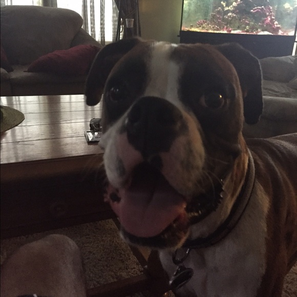 Profile Picture of Tyler Badertscher (@tbader2) on Poshmark