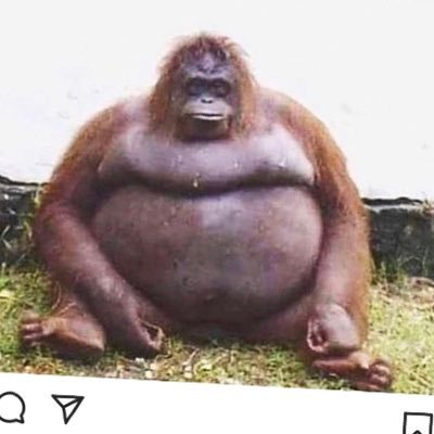 Profile Picture of Eric Gaertner (@GaertnerEric) on Twitter