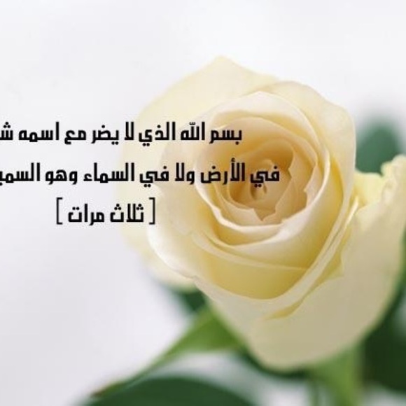 Profile Picture of Meriem Benfettane (@ouaazizhmr) on Poshmark