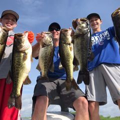 Profile Picture of Scott Breitbach (@blitzburgbob) on Tiktok